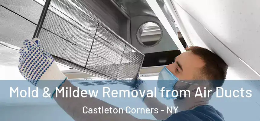 Mold & Mildew Removal from Air Ducts Castleton Corners - NY