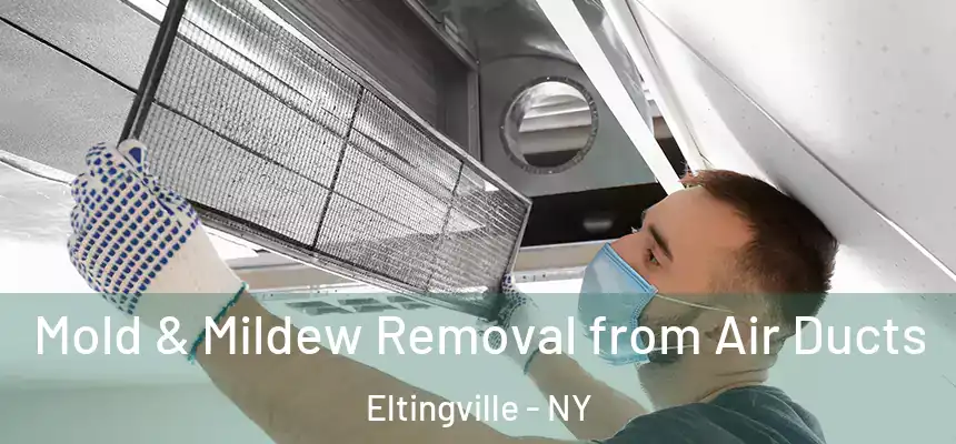 Mold & Mildew Removal from Air Ducts Eltingville - NY