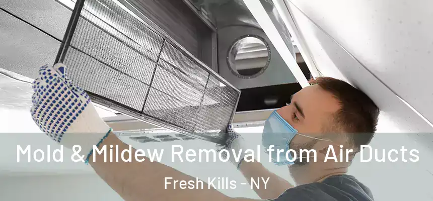 Mold & Mildew Removal from Air Ducts Fresh Kills - NY