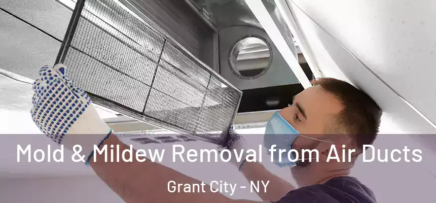  Mold & Mildew Removal from Air Ducts Grant City - NY