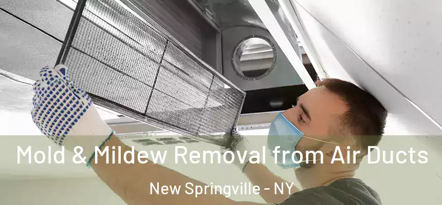 Mold & Mildew Removal from Air Ducts New Springville - NY