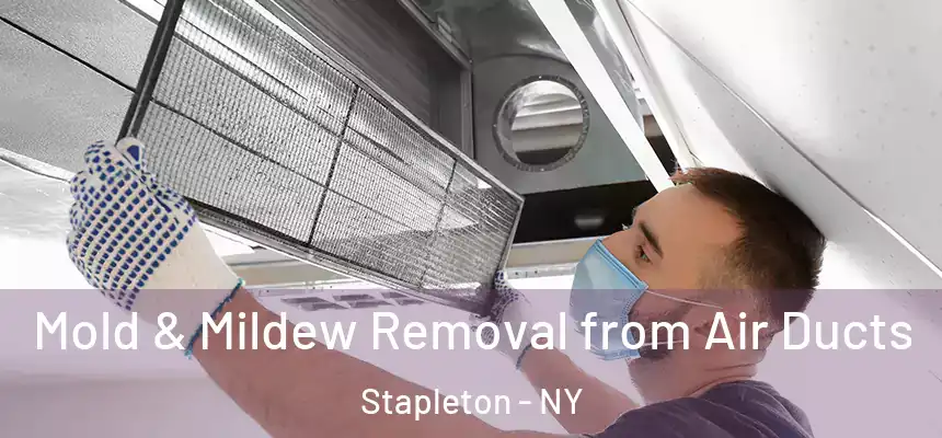 Mold & Mildew Removal from Air Ducts Stapleton - NY