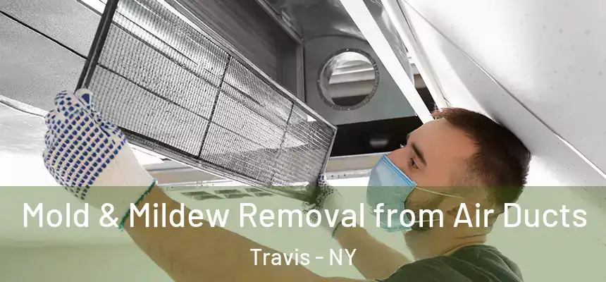 Mold & Mildew Removal from Air Ducts Travis - NY