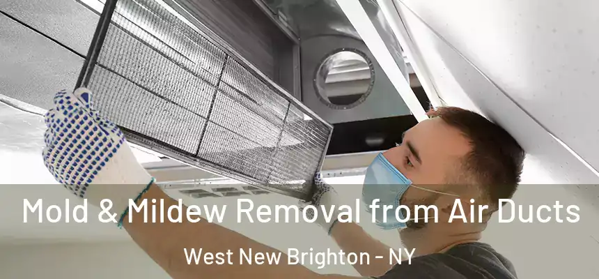Mold & Mildew Removal from Air Ducts West New Brighton - NY