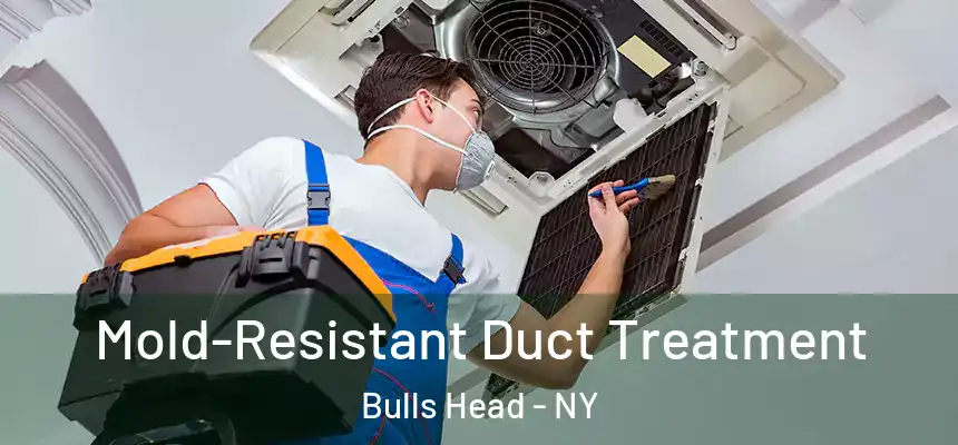 Mold-Resistant Duct Treatment Bulls Head - NY