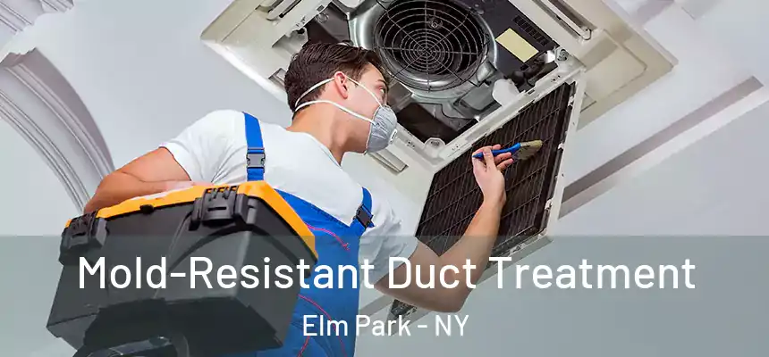 Mold-Resistant Duct Treatment Elm Park - NY