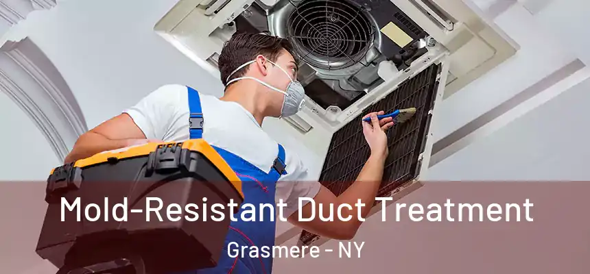  Mold-Resistant Duct Treatment Grasmere - NY