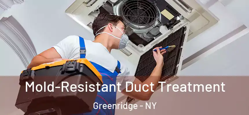 Mold-Resistant Duct Treatment Greenridge - NY