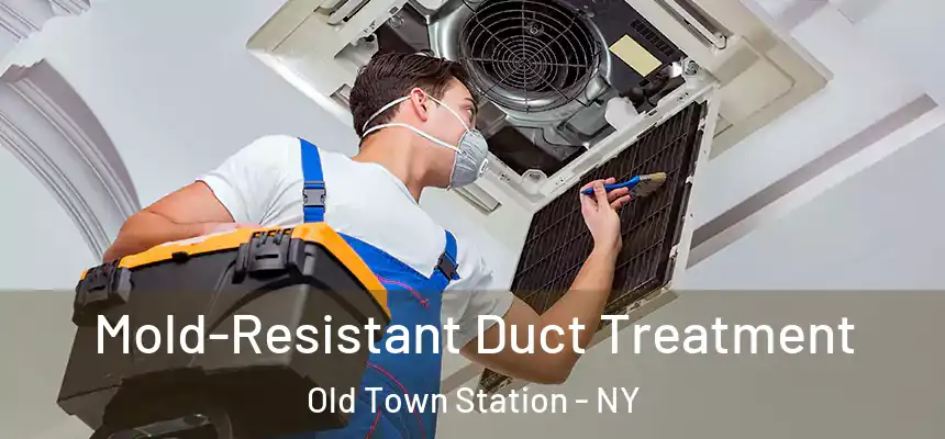  Mold-Resistant Duct Treatment Old Town Station - NY