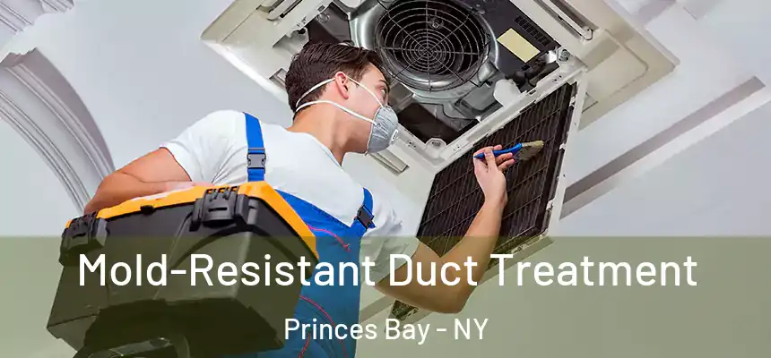 Mold-Resistant Duct Treatment Princes Bay - NY