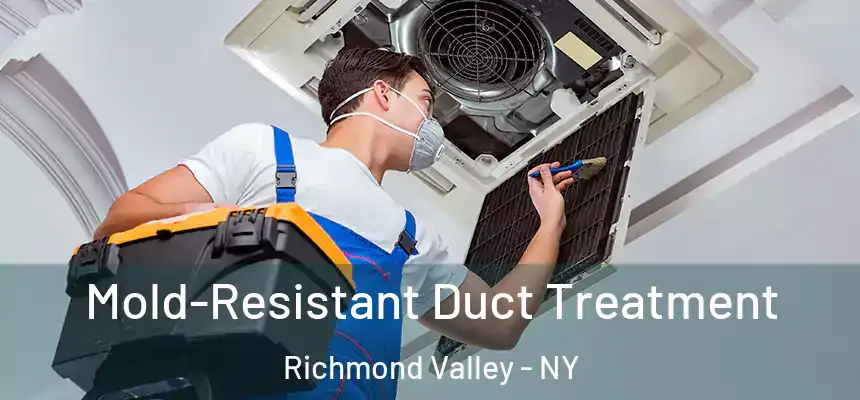 Mold-Resistant Duct Treatment Richmond Valley - NY