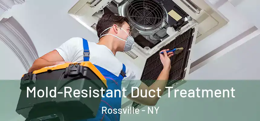  Mold-Resistant Duct Treatment Rossville - NY