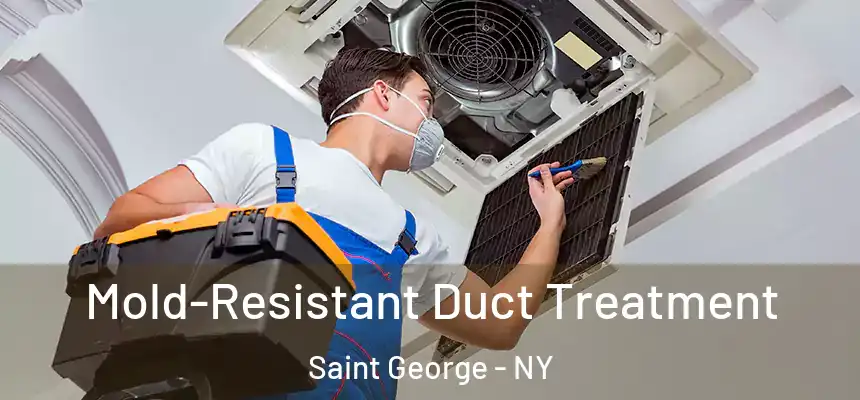  Mold-Resistant Duct Treatment Saint George - NY
