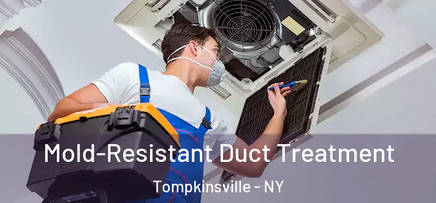  Mold-Resistant Duct Treatment Tompkinsville - NY