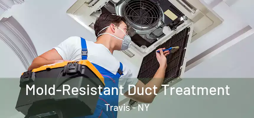 Mold-Resistant Duct Treatment Travis - NY
