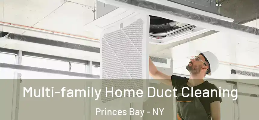  Multi-family Home Duct Cleaning Princes Bay - NY