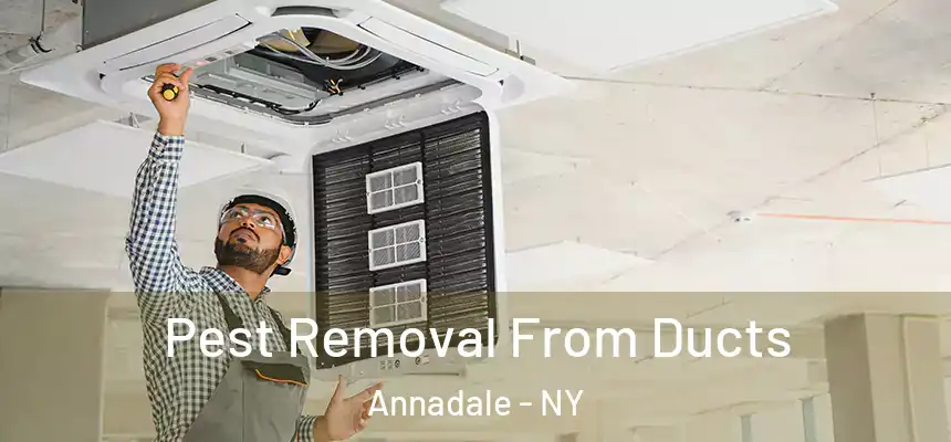  Pest Removal From Ducts Annadale - NY
