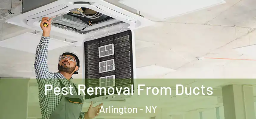 Pest Removal From Ducts Arlington - NY