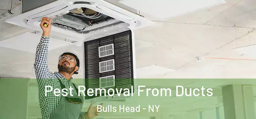 Pest Removal From Ducts Bulls Head - NY
