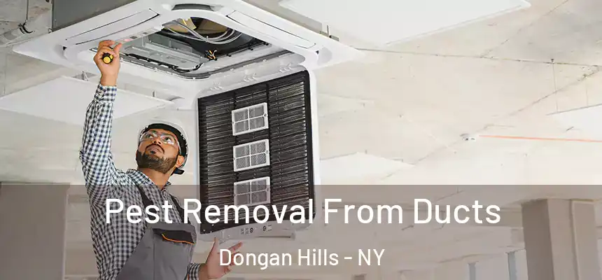 Pest Removal From Ducts Dongan Hills - NY