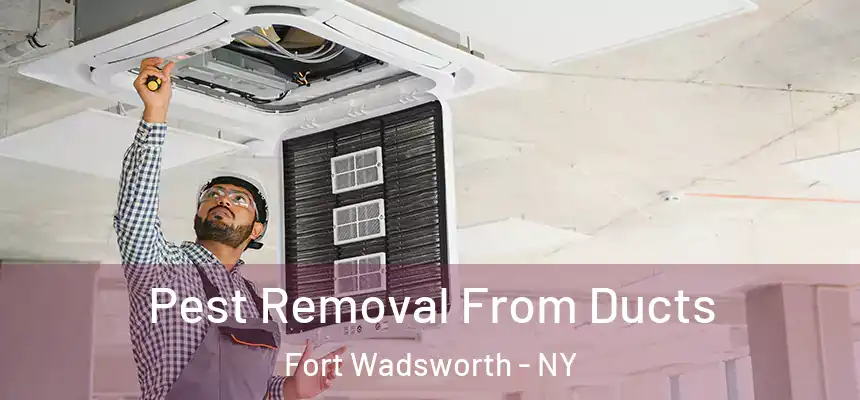 Pest Removal From Ducts Fort Wadsworth - NY