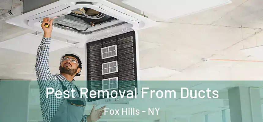  Pest Removal From Ducts Fox Hills - NY