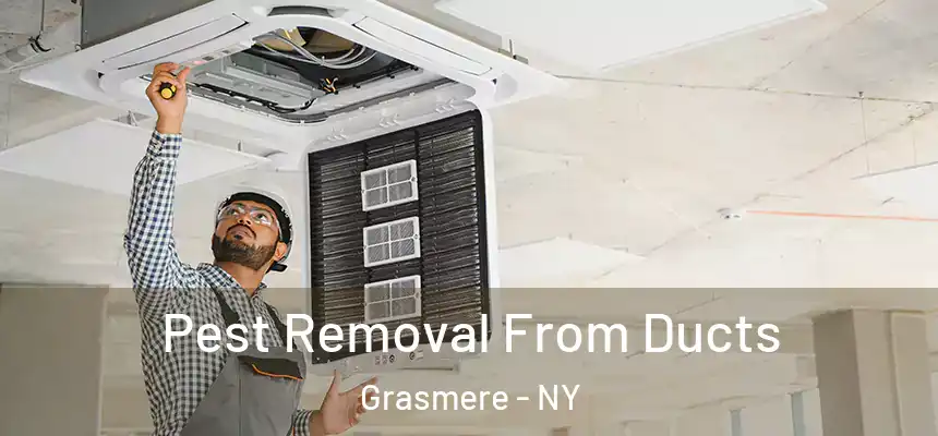Pest Removal From Ducts Grasmere - NY