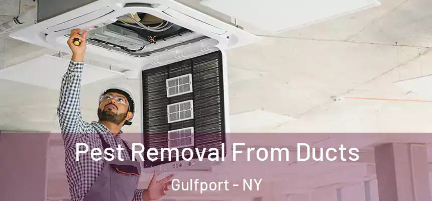 Pest Removal From Ducts Gulfport - NY