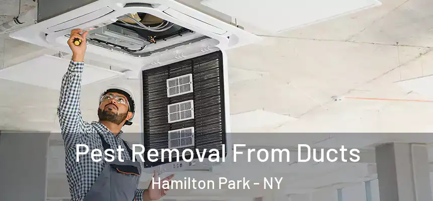 Pest Removal From Ducts Hamilton Park - NY