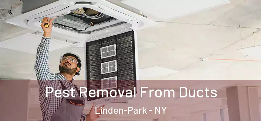  Pest Removal From Ducts Linden-Park - NY