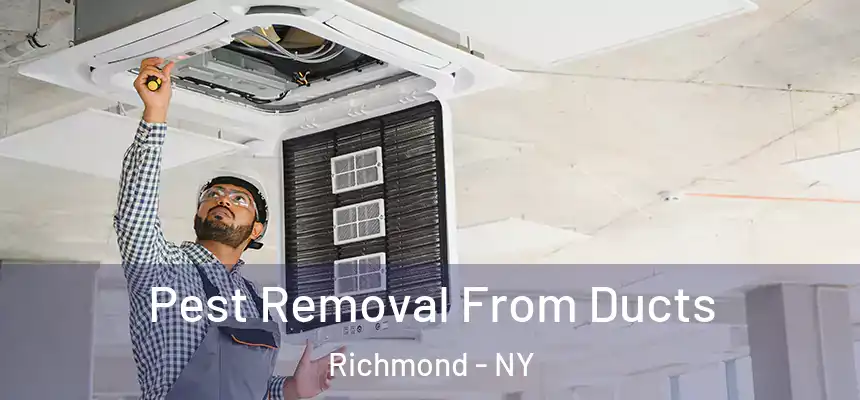  Pest Removal From Ducts Richmond - NY