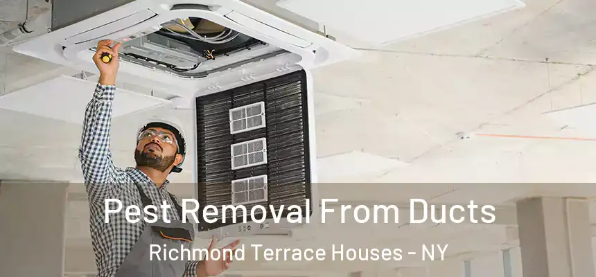  Pest Removal From Ducts Richmond Terrace Houses - NY