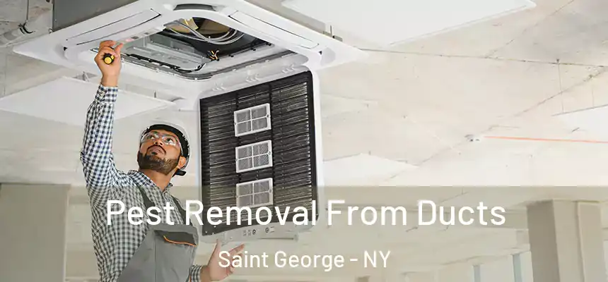 Pest Removal From Ducts Saint George - NY