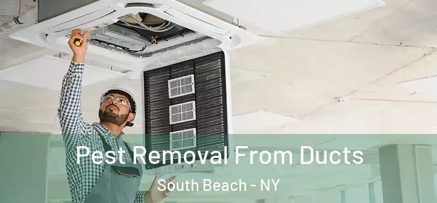 Pest Removal From Ducts South Beach - NY