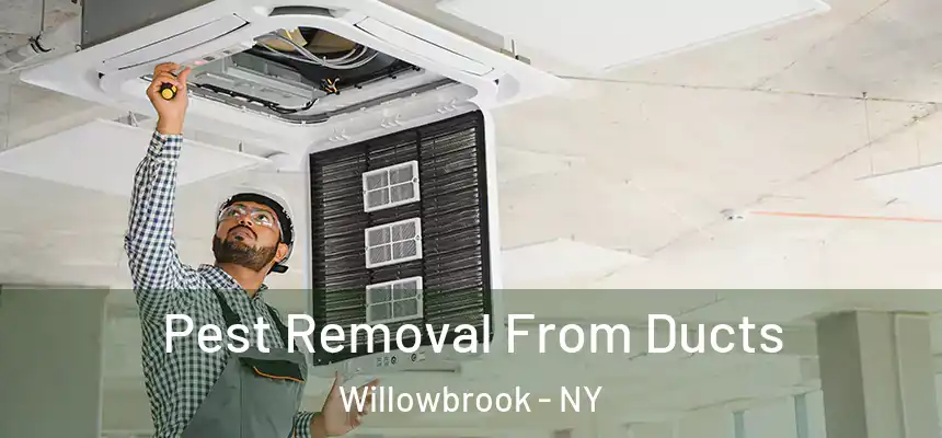  Pest Removal From Ducts Willowbrook - NY