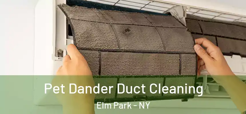  Pet Dander Duct Cleaning Elm Park - NY