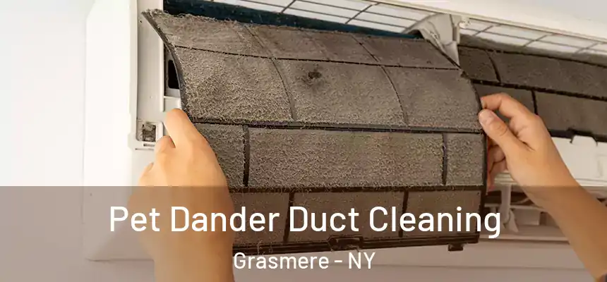 Pet Dander Duct Cleaning Grasmere - NY