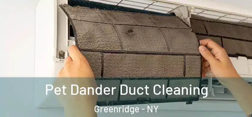 Pet Dander Duct Cleaning Greenridge - NY