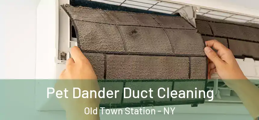  Pet Dander Duct Cleaning Old Town Station - NY