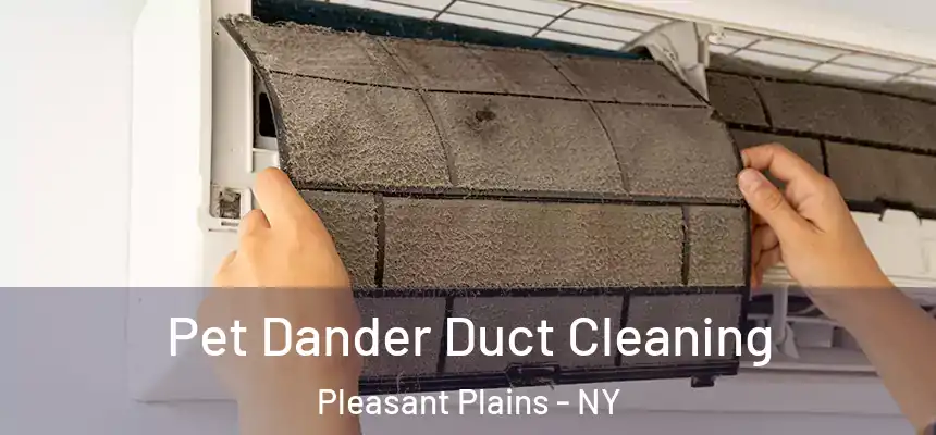  Pet Dander Duct Cleaning Pleasant Plains - NY