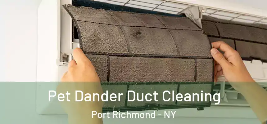 Pet Dander Duct Cleaning Port Richmond - NY