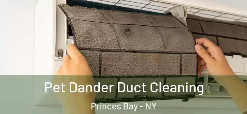 Pet Dander Duct Cleaning Princes Bay - NY