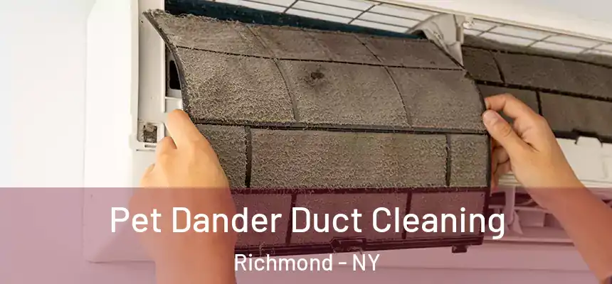 Pet Dander Duct Cleaning Richmond - NY