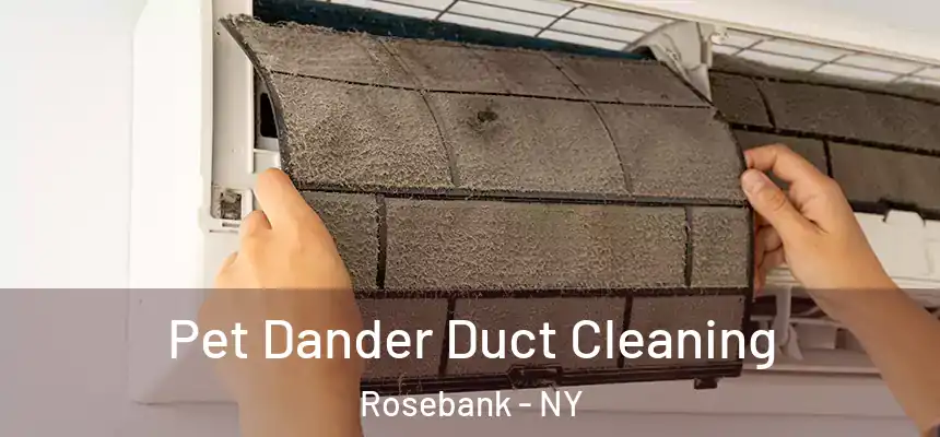  Pet Dander Duct Cleaning Rosebank - NY