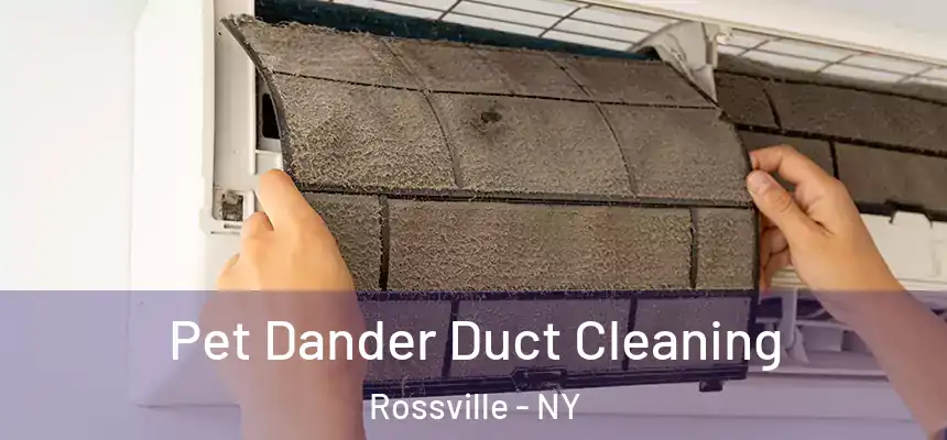 Pet Dander Duct Cleaning Rossville - NY