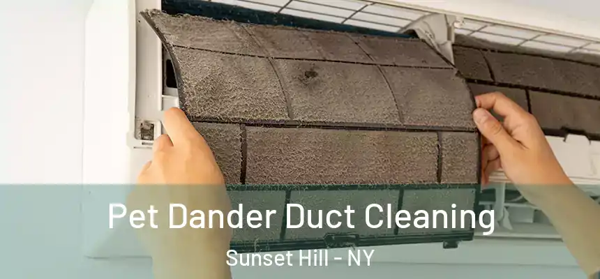 Pet Dander Duct Cleaning Sunset Hill - NY