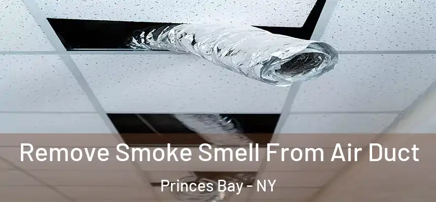 Remove Smoke Smell From Air Duct Princes Bay - NY
