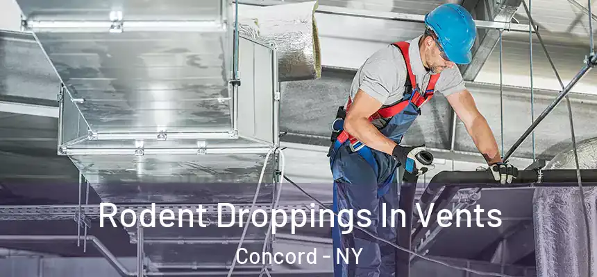  Rodent Droppings In Vents Concord - NY