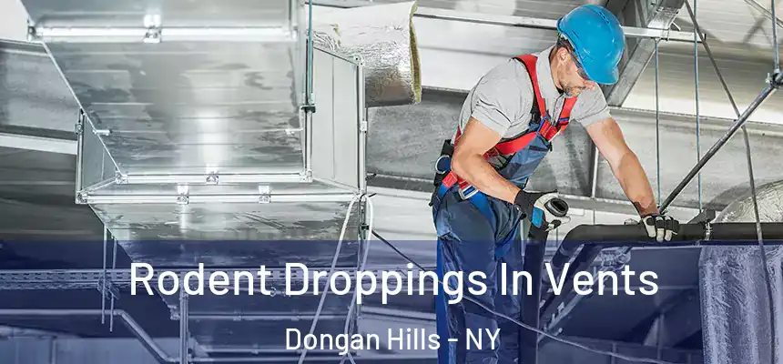  Rodent Droppings In Vents Dongan Hills - NY