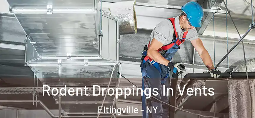  Rodent Droppings In Vents Eltingville - NY